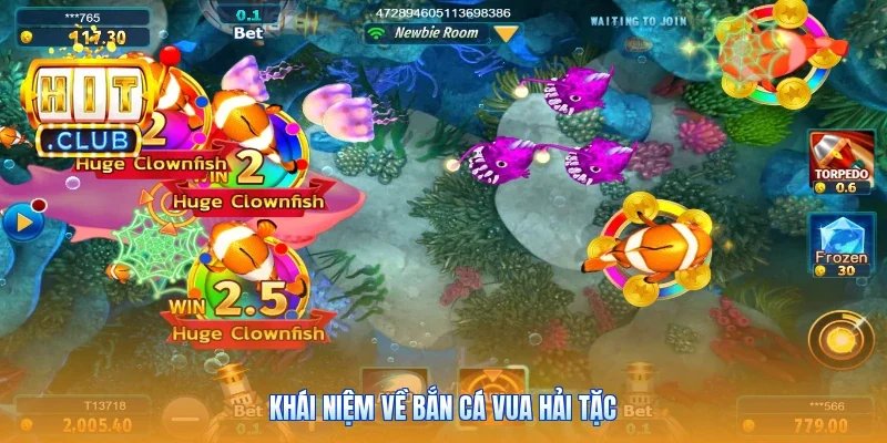 Khái niệm về bắn cá vua hải tặc