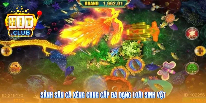 Sảnh săn cá xèng cung cấp đa dạng loài sinh vật